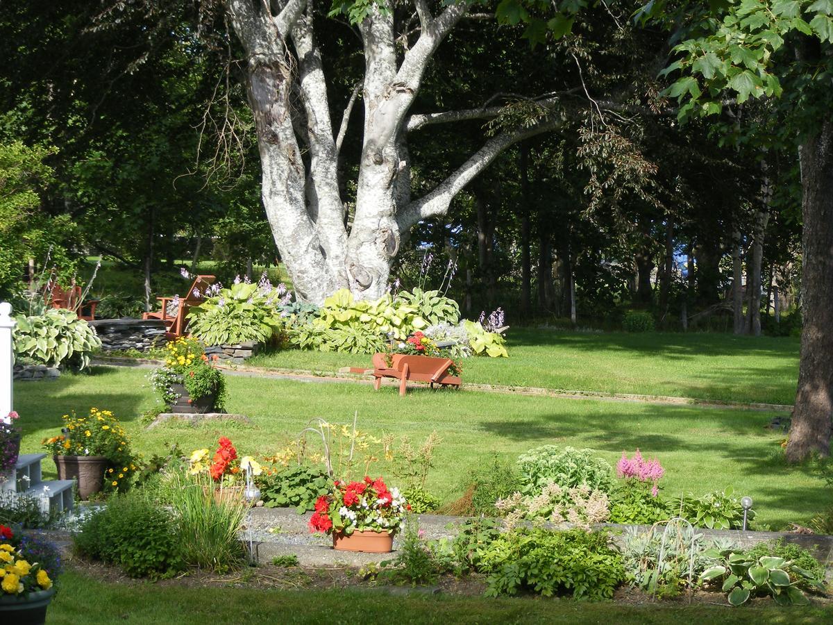 Rothesay House Heritage Inn B&B Harbour Grace Kültér fotó